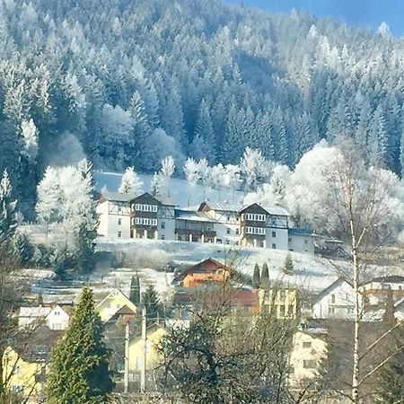 Panorama Lambach Appartament Mürzzuschlag Exterior foto